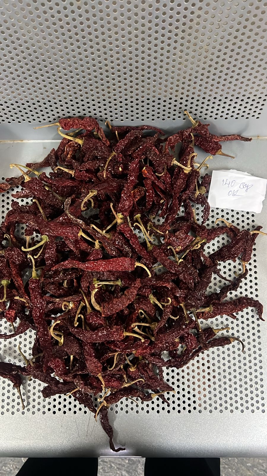 Byadgi dry red chilli stock at our Karnataka yard — photo 5
