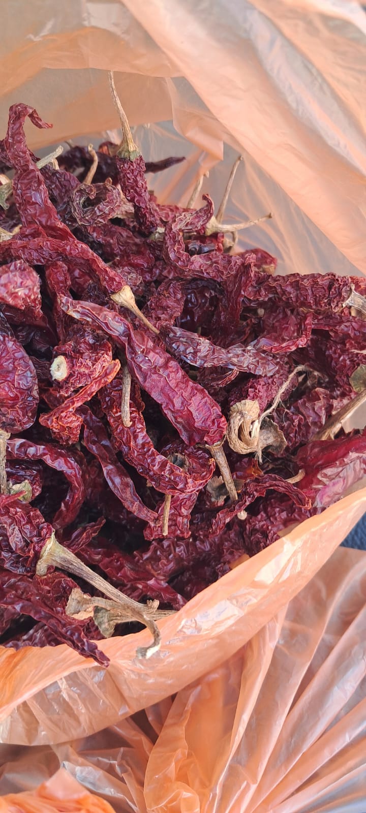 Byadgi dry red chilli stock at our Karnataka yard — photo 9